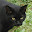 @ばけ猫-i9c