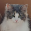 author photo