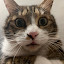 author photo