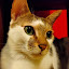 author photo