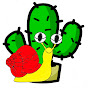 Cactus Vetya