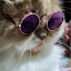 author photo
