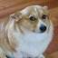 author photo