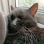 author photo