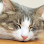 author photo