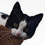 author photo