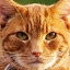 author photo