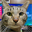 author photo