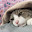 @東雲残月