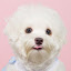 author photo