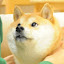 author photo