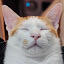 author photo