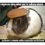 author photo