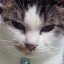 author photo