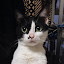 author photo