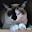 @ししゃも_nya
