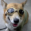 author photo