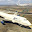 @飛行機222