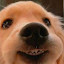 author photo