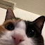author photo