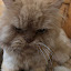 author photo