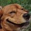 author photo