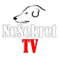 NeSekret TV