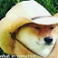 author photo