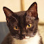 author photo