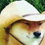 author photo