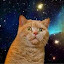 author photo