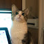 author photo