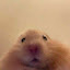 author photo