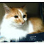 author photo