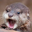 author photo