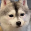author photo