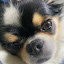author photo
