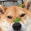 author photo