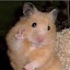 author photo
