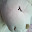 @まとん-u7k