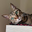 author photo