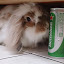 author photo