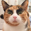 author photo
