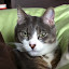 author photo