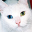 author photo