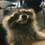 author photo