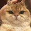 author photo