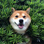 author photo