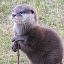 author photo