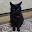 @黒猫-f7t